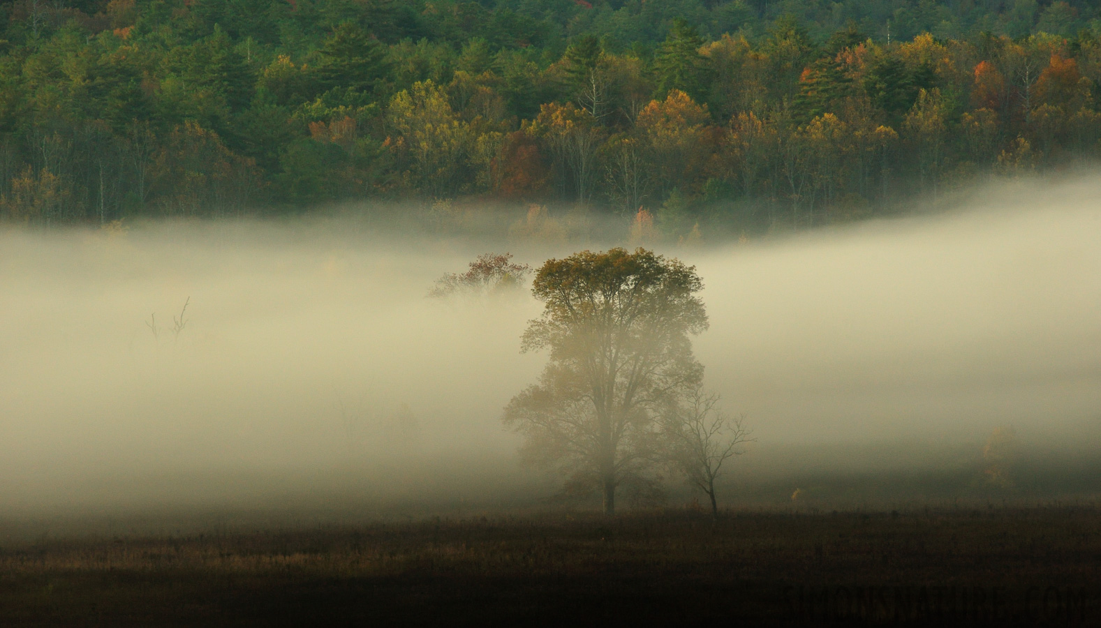 [300 mm, 1/160 sec at f / 10, ISO 1600]